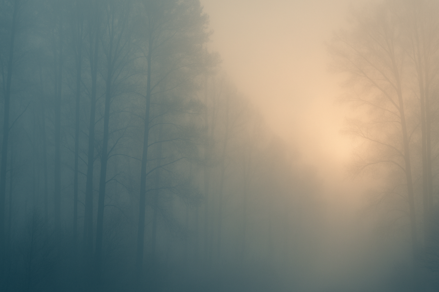 De stilte van november